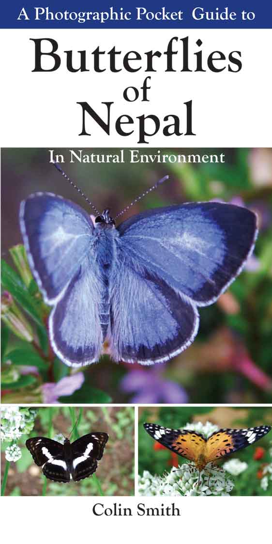 A Photographic Pocket Guide to Butterflies of Nepal